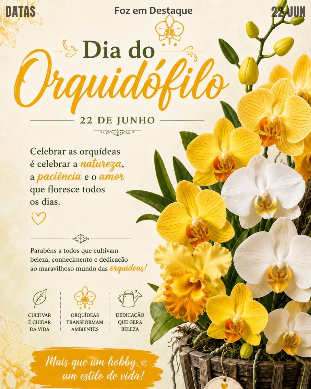 DATAS COMEMORATIVAS FOZEMDESTAQUE 22/06/2026