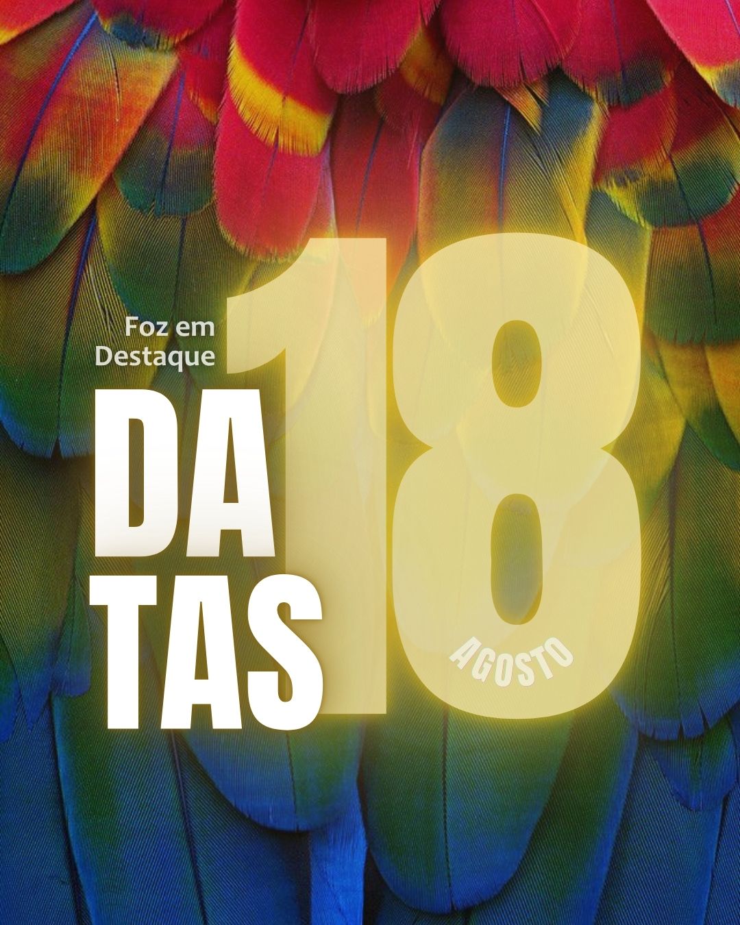Datas Comemorativas Foz 18 de agosto 2026 Composição visual elegante representando os temas do dia: sustentabilidade, liberdade e desenvolvimento profissional.