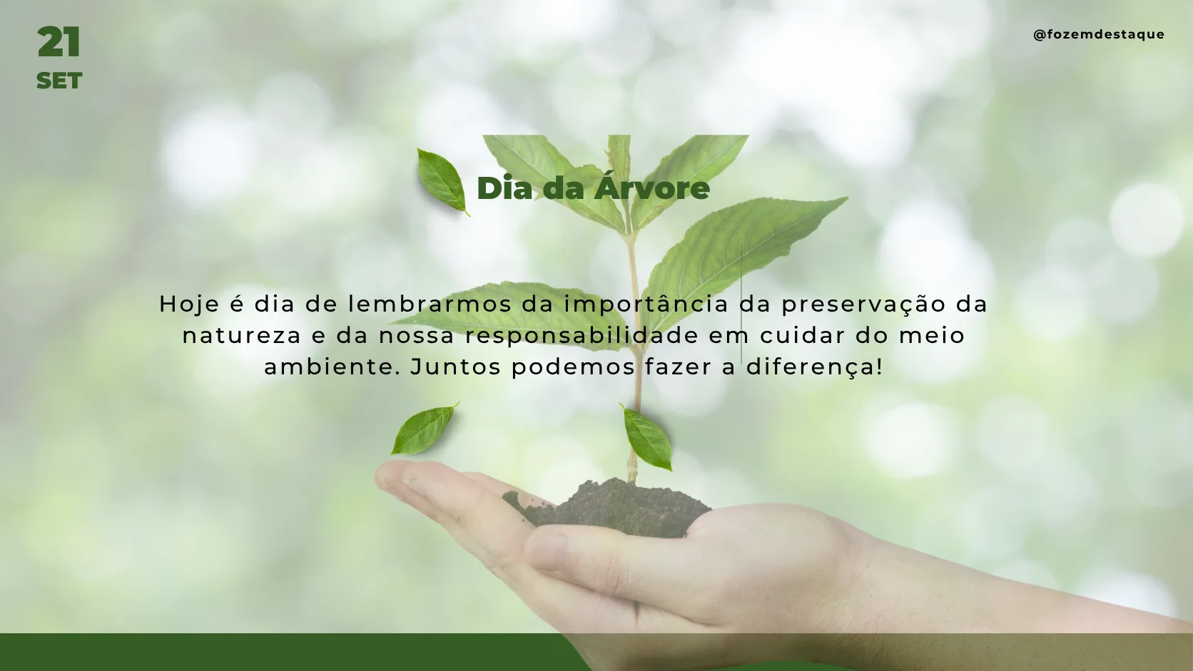 4 Preservação Ambiental e a Festa da Árvore